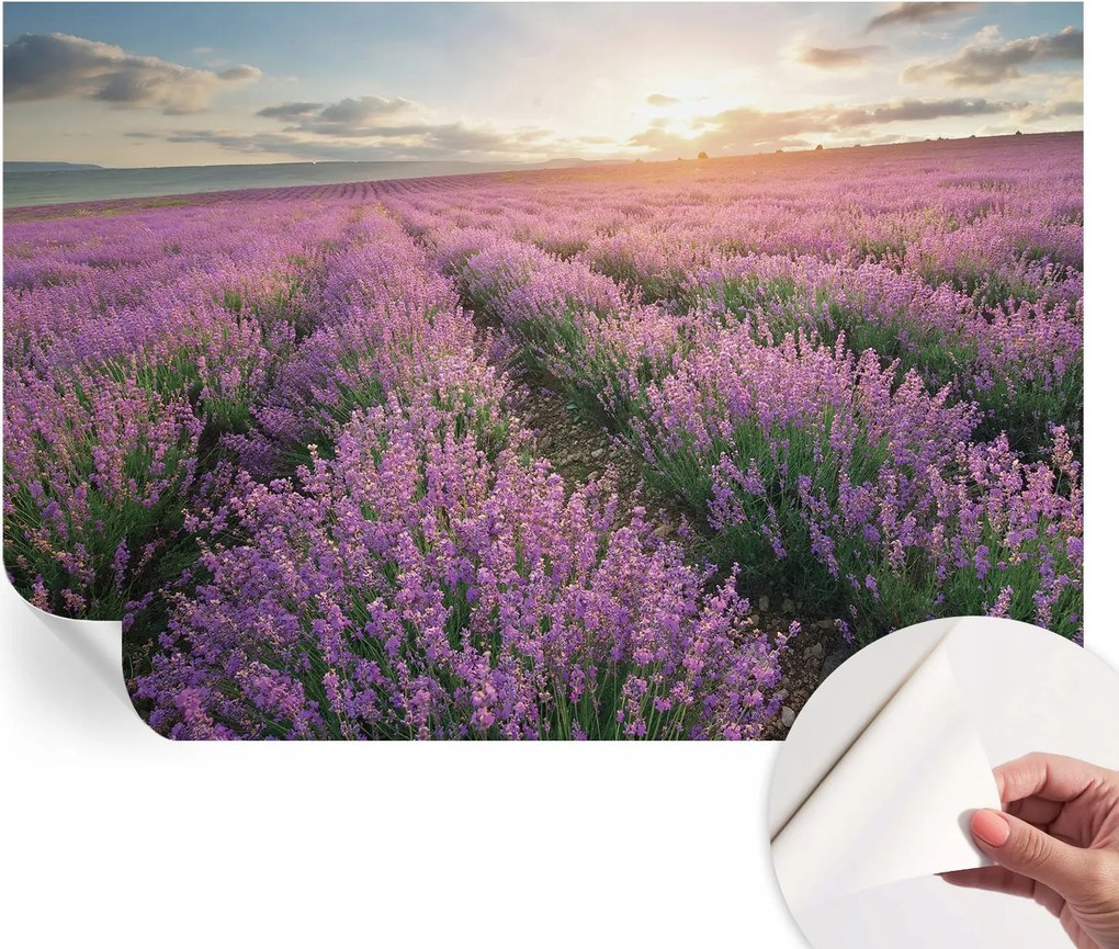 Modern öntapadós fotótapéta Mosható Levendula mezők 152x104 cm