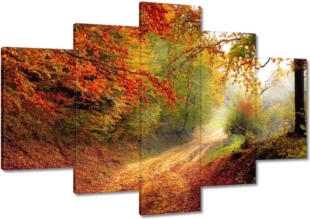 Képek 120x80 Út az erdőben ősz