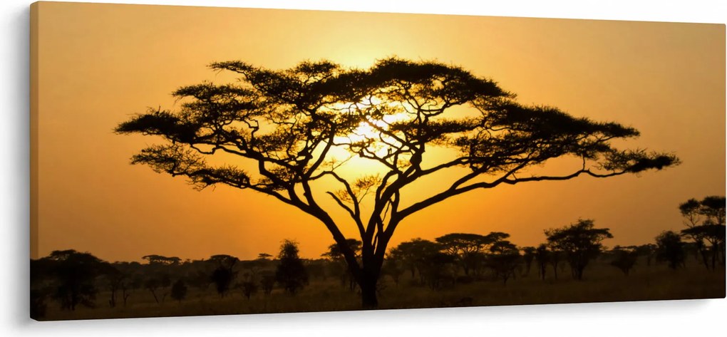 Kép - afrikai szavanna (120x50 cm)