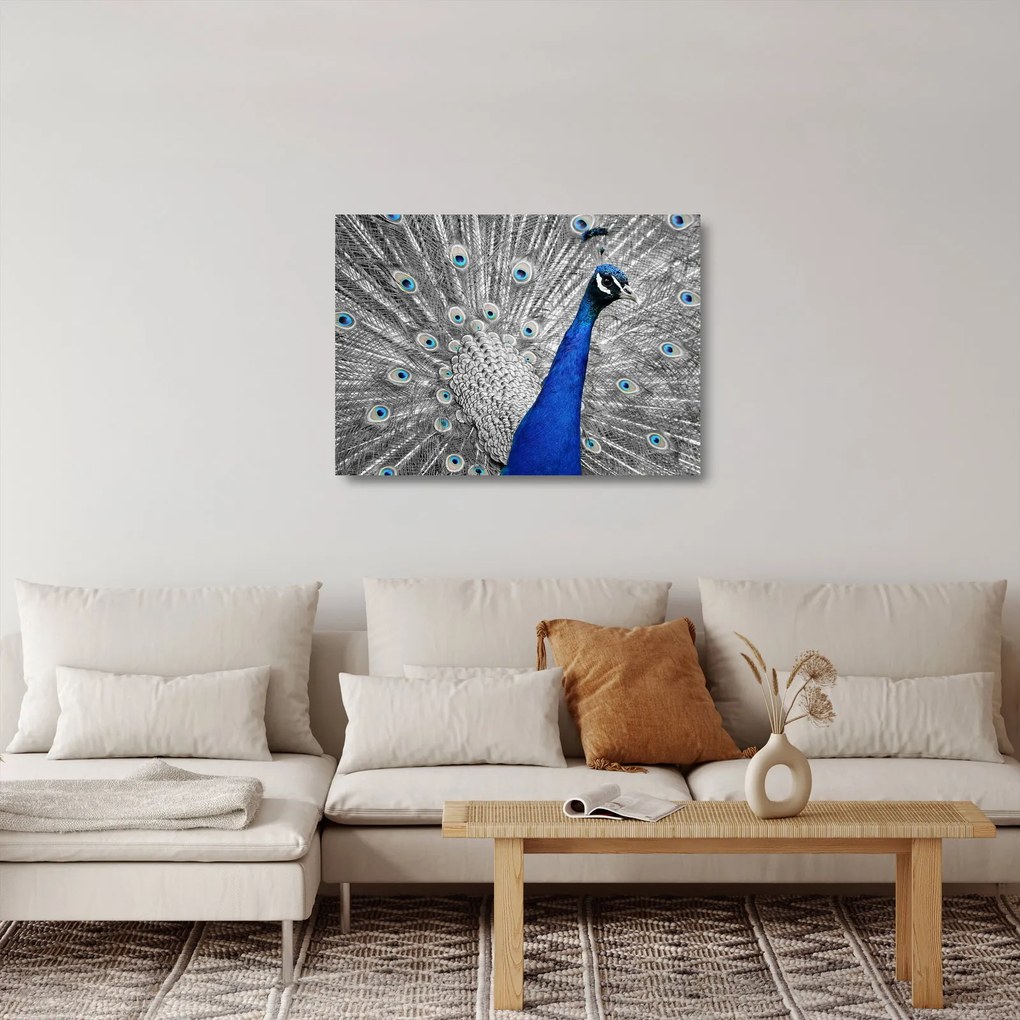 Kék páva képe (üvegen) (70x50 cm)