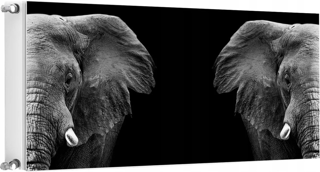 Mágneses Radiátorvédő 120x60 Elefánt Fotótapéta