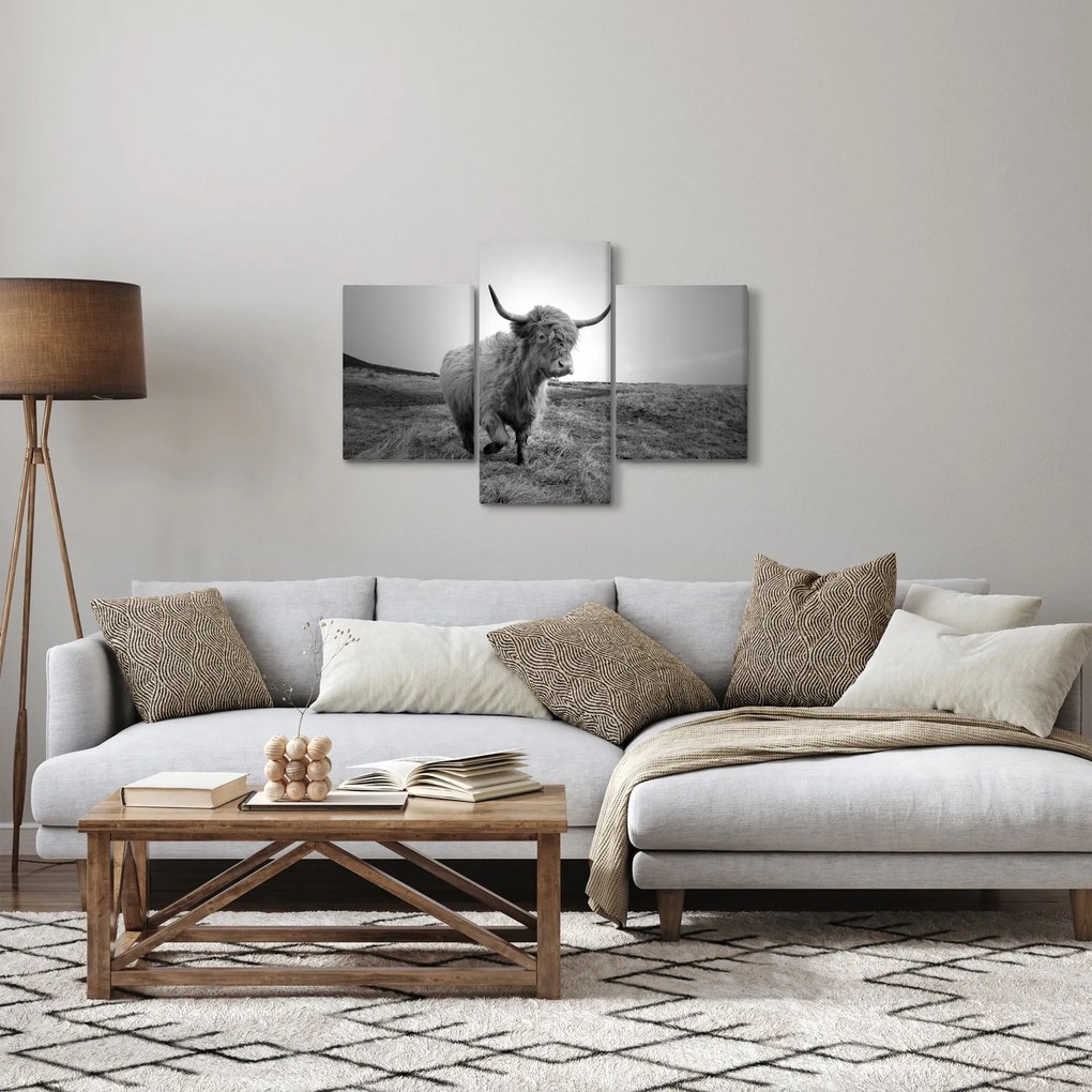 Kép - Skót tehén, fekete-fehér (90x60 cm)