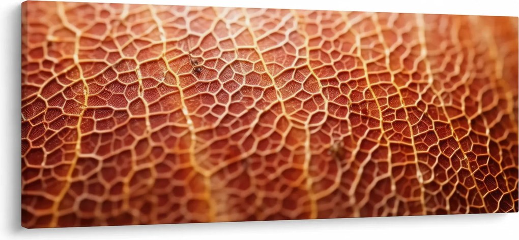 Kép - Textúra részlet (120x50 cm)