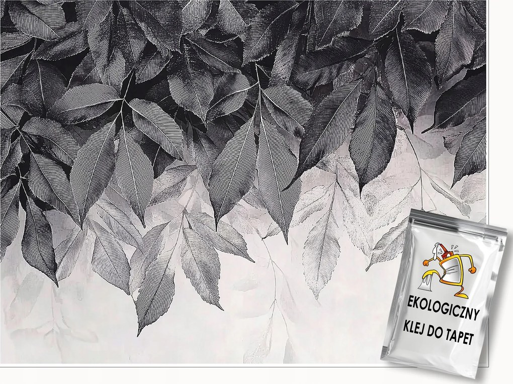 Fotótapéta Levelek Lógó Szürke Hálószoba Nappali Tapéta Flizelina 150x105