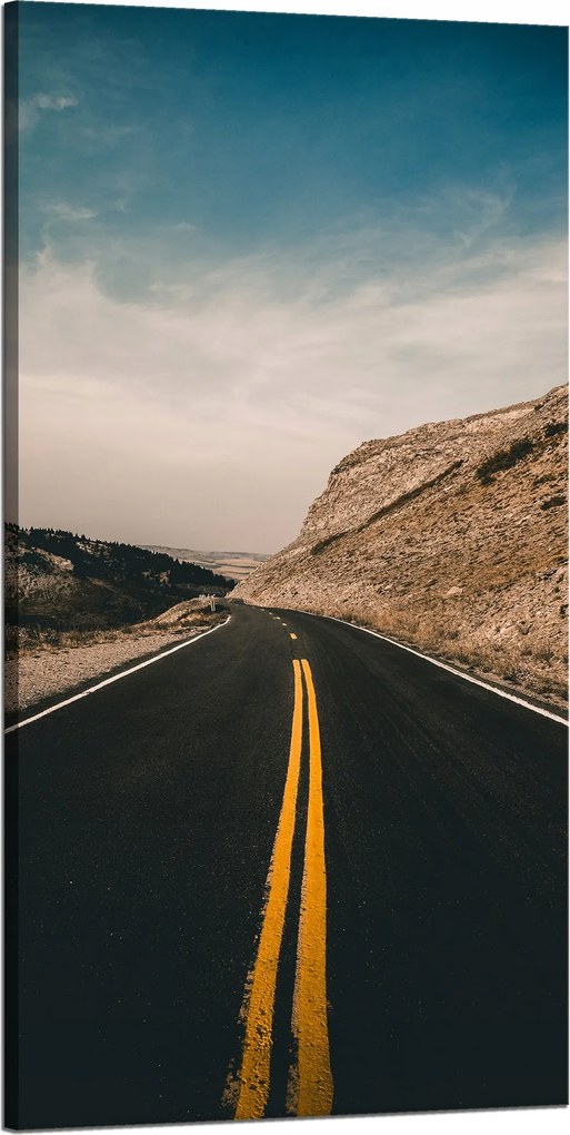 Vászonkép Természet Út sárga csíkok 60x120 cm