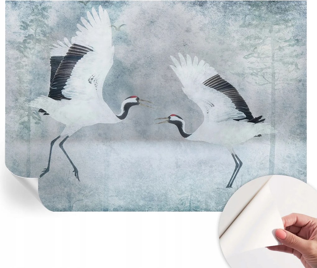 Öntapadós tapéta 3D fali ragasztóval Harmonikus daruk 208x146 cm