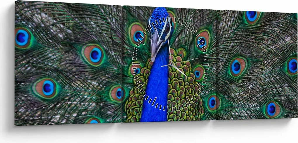 Kép - Páva (órával) (90x30 cm)