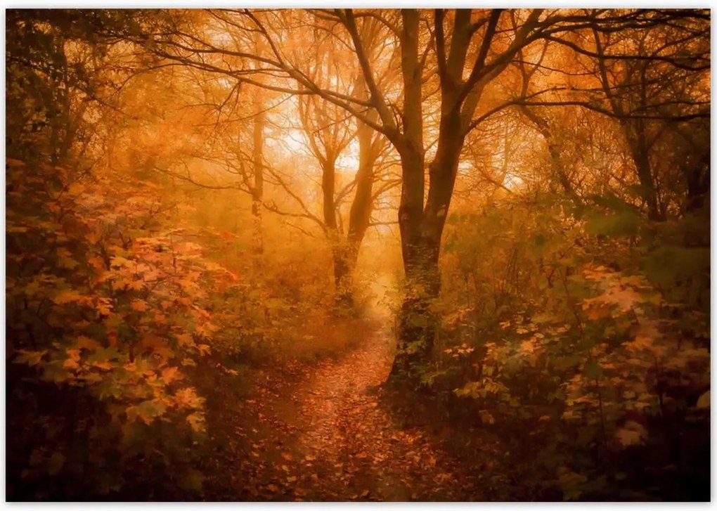 Poszterek 100x70 Tájkép Látvány