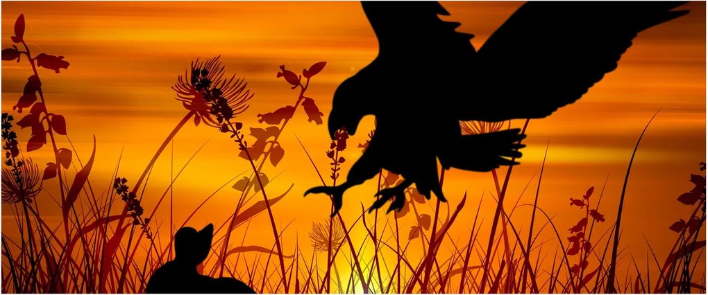 A ragadozó sziluettjének képe (120x50 cm)
