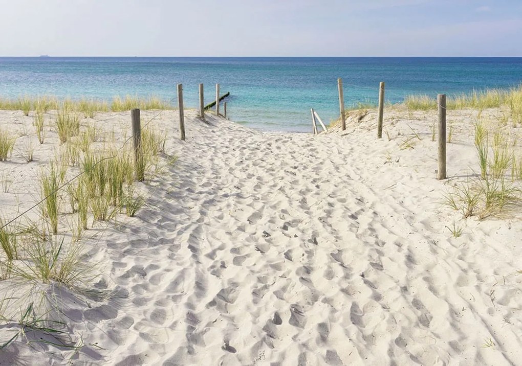 Fotótapéta - A strandra és a tengerre nyíló kilátás (152,5x104 cm)