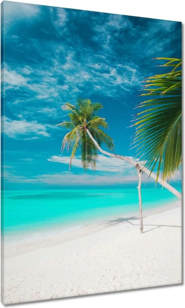 Vászonkép 70x100 Tájkép Látvány