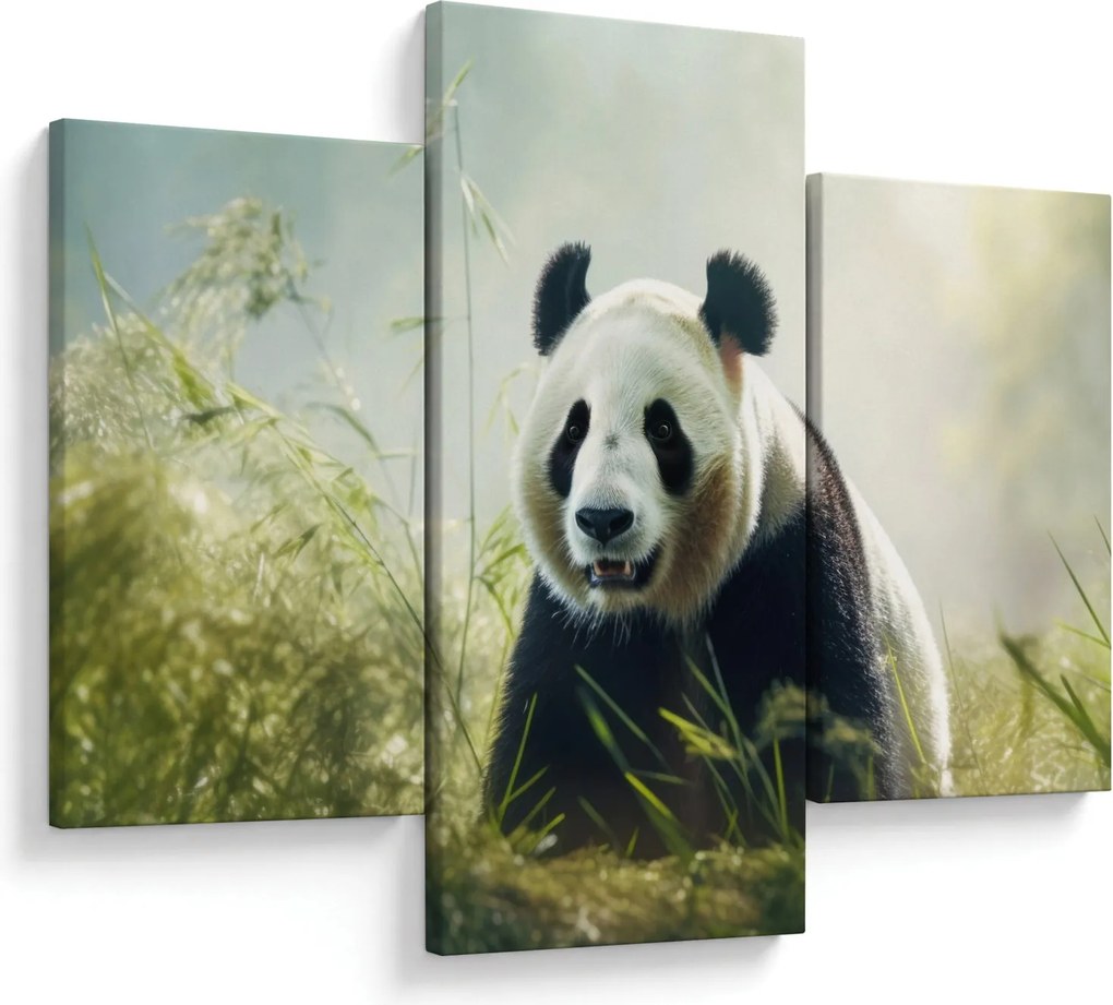 Kép - Panda (90x60 cm)