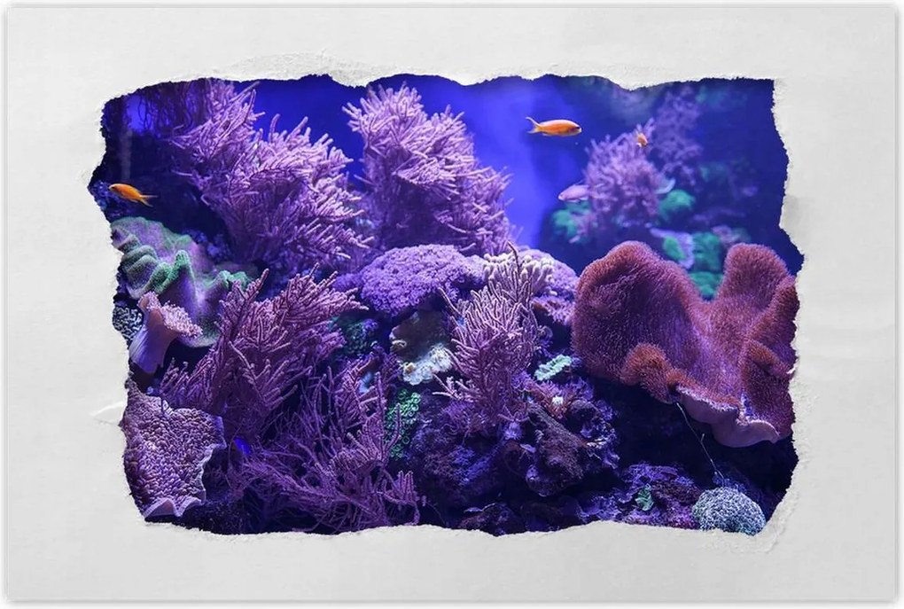 Poszterek 120x80 Víz alatti tengeri világ