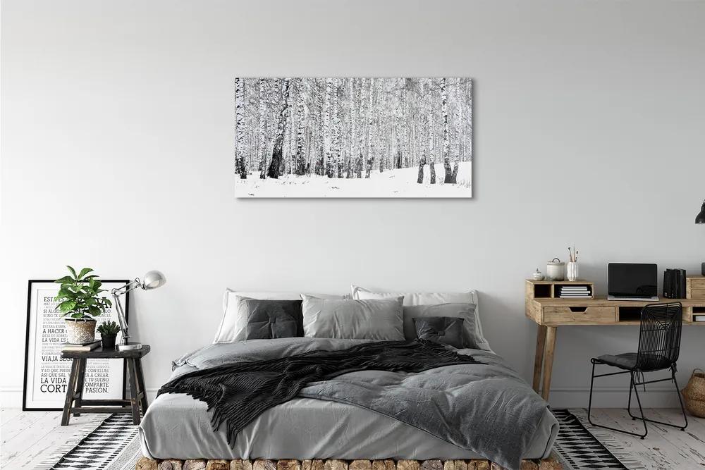 Üvegképek Téli nyírfák 125x50 cm
