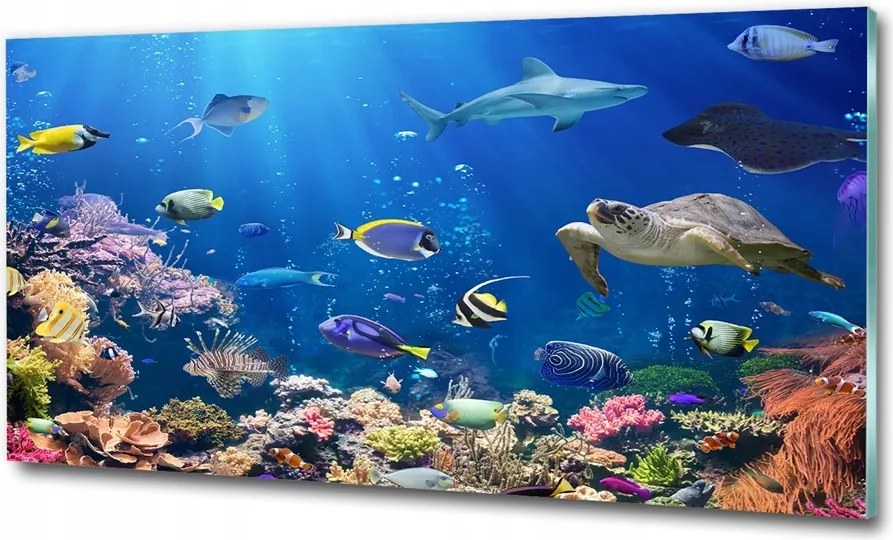 Fotó-kép edzett üveg Korallzátony 125x50