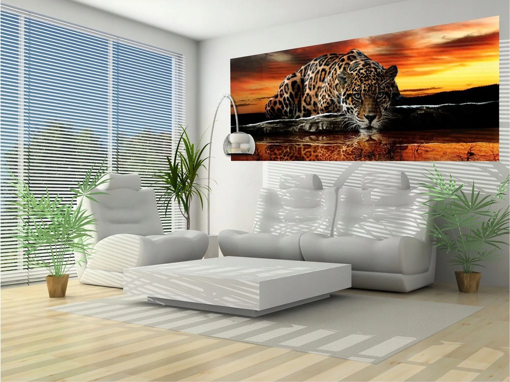 Jaguar fotótapéta naplementekor a természet eleganciája 250x104 +ragasztó