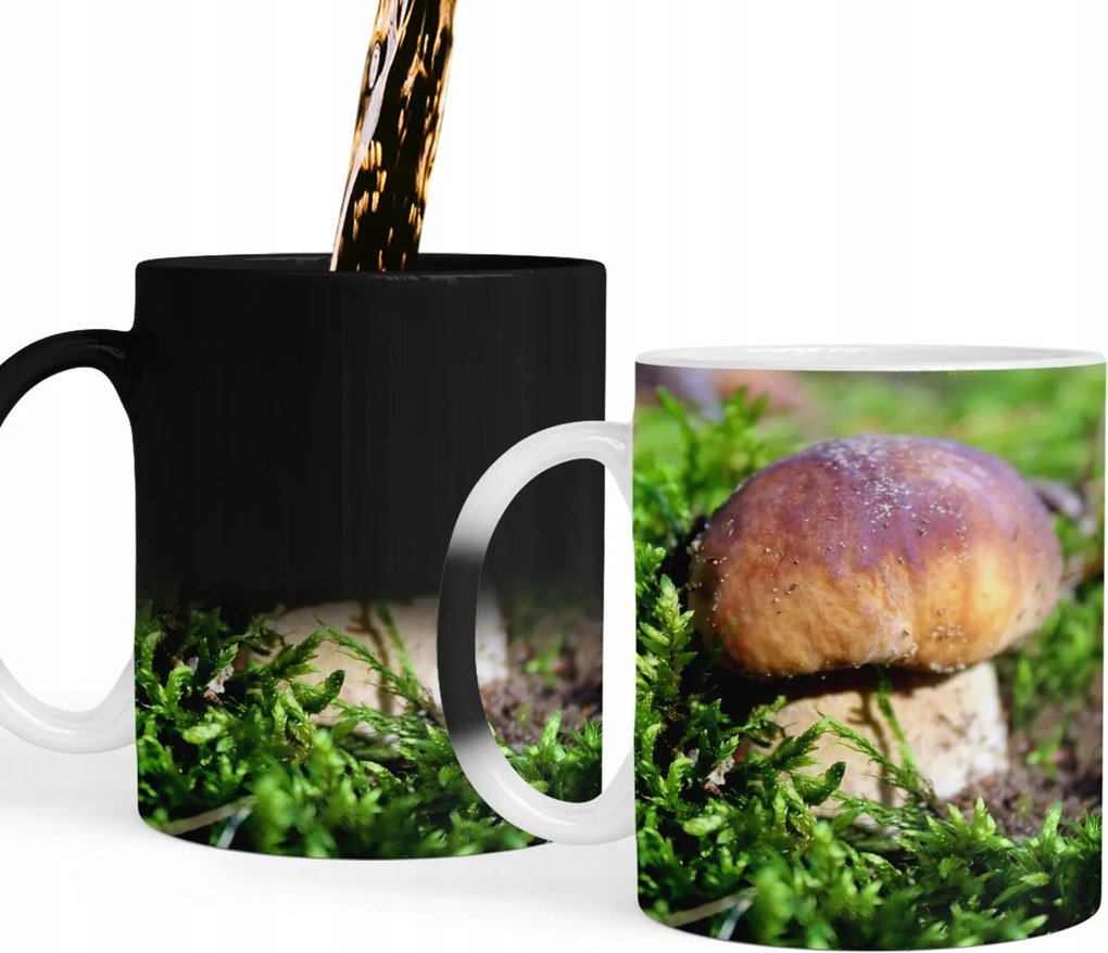 Mágikus Bögre Gombászoknak Gombás Bögrék Ajándék Szöveg