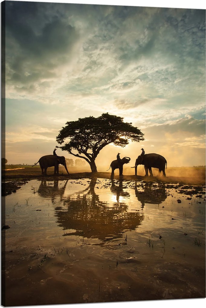 Vászonkép Emberek az elefántokon naplementekor 80x120 cm
