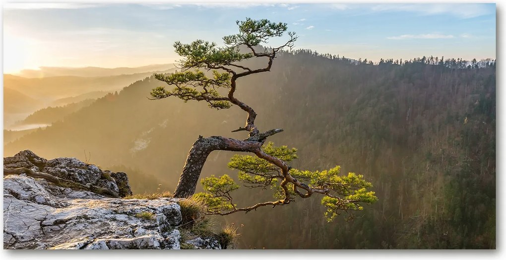 Fotó üvegkép Sólyomkő 140x70