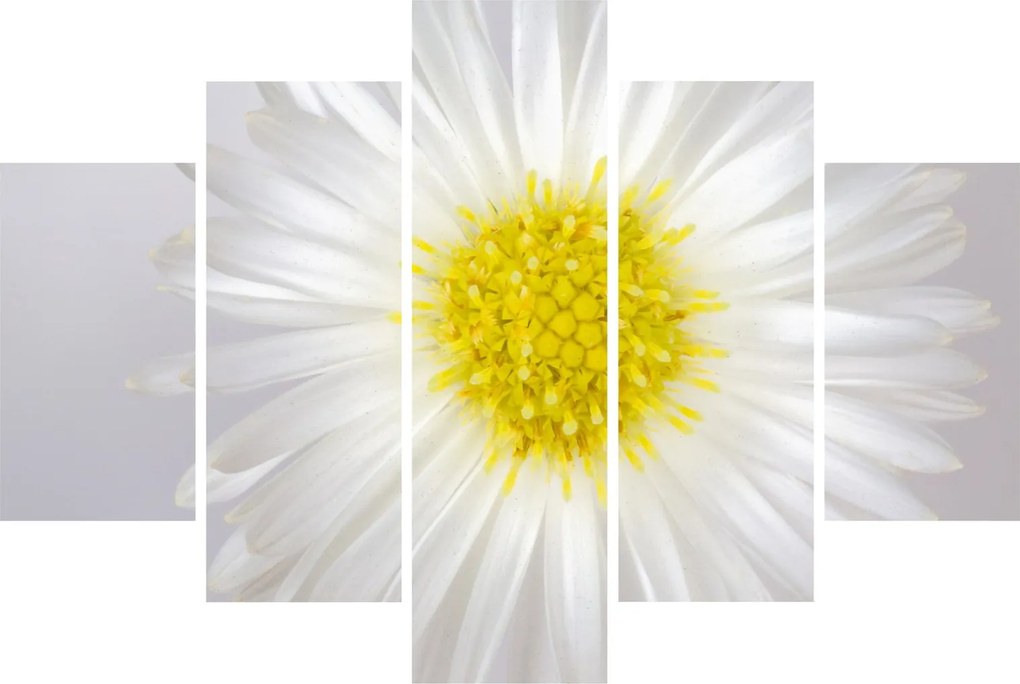 Kép - Margarita (150x105 cm)