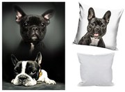 Kutyás polár takaró, párnahuzat és párna szett 3 db-os (Bulldog Moments)