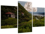 Holdas tájkép (90x60 cm)