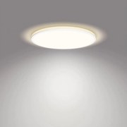 Philips- LED Dimmelhető mennyezeti lámpa OZZIET SCENE SWITCH LED/22W/230V 4000K