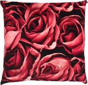 Párnahuzat Rózsák bársony 45x45cm