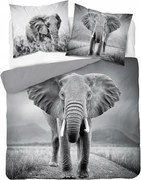 Ágyneműhuzat 220x200 Elefánt szürke ifjúsági Elefánt elephant Holland Natura