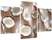 Kép - Kókuszdiók (90x60 cm)