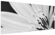 Kép - Fekete-fehér virág (120x50 cm)