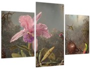 Kép - Martin Johnson Heade, Cattleya Orchid and Three Hummingbirds, reprodukciók (90x60 cm)