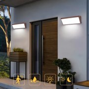 Brilagi - LED kültéri fali lámpa TRIANGLE LED/42W/230V 3000/4000/6500K barna IP65
