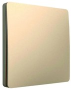 Kinetikus vezeték nélküli kapcsoló 1P, IP67, arany