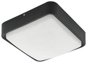 Eglo Piove-C 97295 Connect kültéri mennyezetlámpa, 14,6W LED