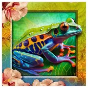 Színes béka fa puzzle