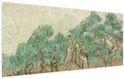 Kép - Vincent van Gogh, The Olive Orchard, reprodukciók (120x50 cm)