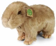 Rappa Plüss kapybara 30 cm ECO-FRIENDLY