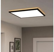 Eglo 901457 -LED Dimmelhető fürdőszobai lámpa ROVITO-R 17W/230V 50x50 cm IP44 fekete + távirányító