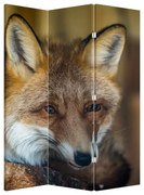 Paraván - Róka (126x170 cm)
