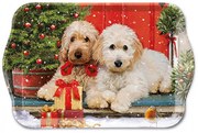 Kutyás karácsonyi műanyag kis tálca Dogs at the door
