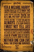 Plakát Harry Potter - Quotes