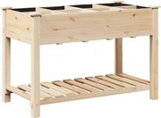 vidaXL Kerti cserép polcokkal Bézs 115 x 59 x 76,5 cm Szilárd fenyőfa