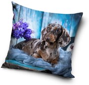 Kutyás Dachshund párnahuzat 40x40 cm