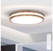 Brilagi Brilagi - LED Dimmelhető mennyezeti lámpa MOLINA LED/48W/230V 3000-6500K + távirányító BG0906