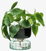 Samozavlažovací květináč Canopy, výška 13 cm, čirý - LSA International