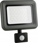Led Fényvető Lámpa 30W IP65 Mozgásérzékelővel