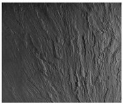 WENKO 2713550100 - SLATE 60 x 50 cm-es, többszínű munkalapvédő