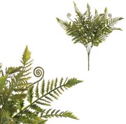 Fiatal páfrány szál, 40 cm