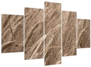 Kép - Az arany mező (150x105 cm)